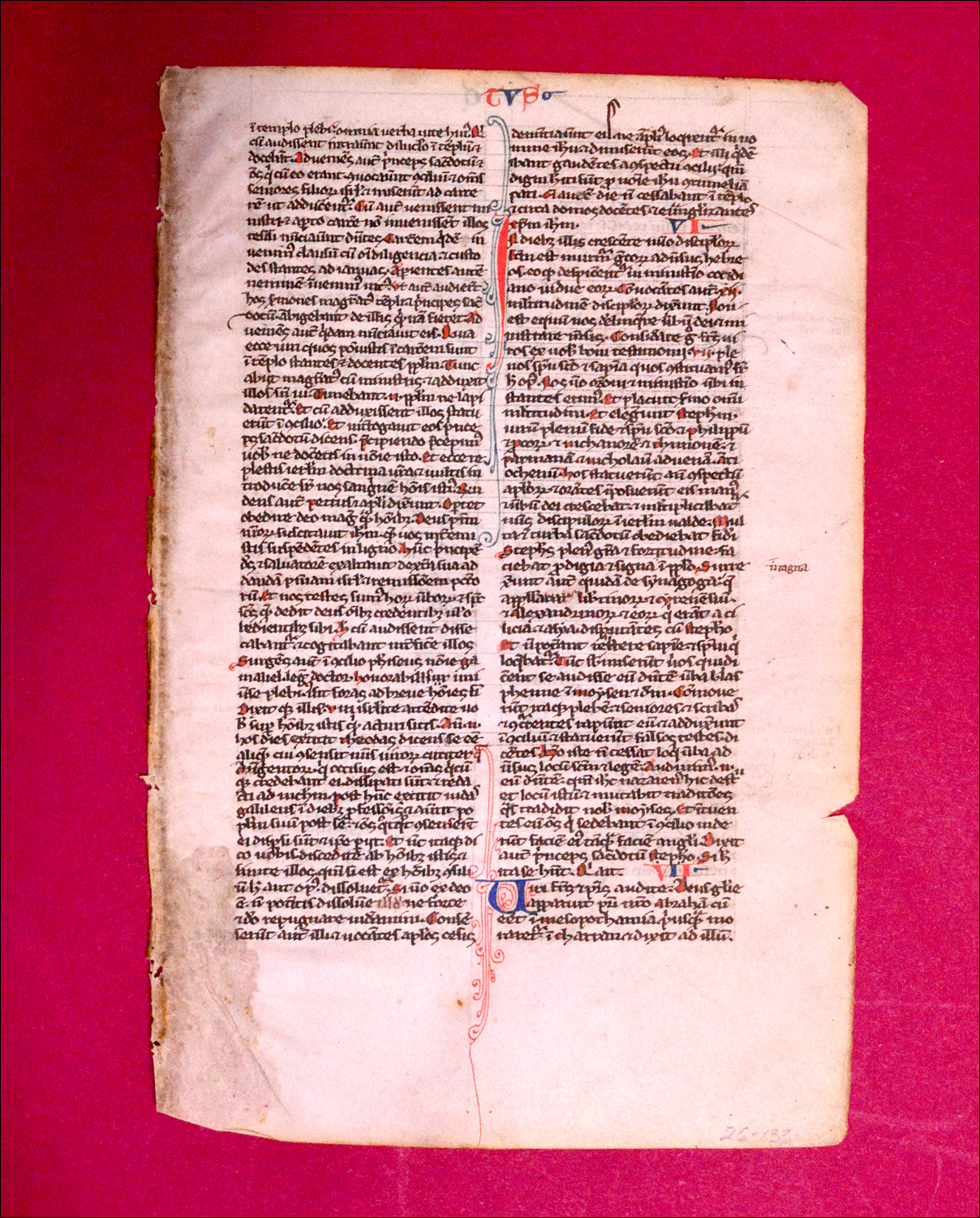 13th century medieval Bible page on vellum.