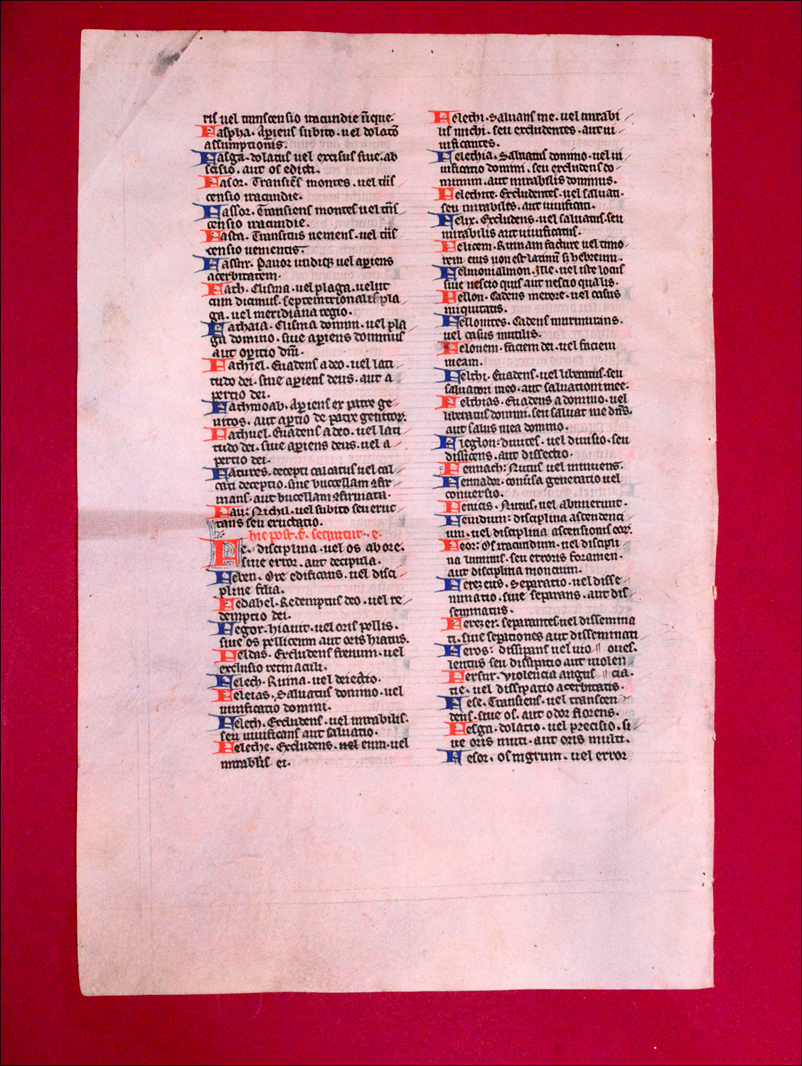 Quarto-sized page from 15th century Book of Hours,
